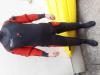 Northen Diver