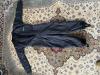 AquaLung undersuit XL