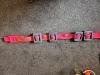 8kg Lead and large Weight Belt (2x2kg) + (2x1kg)