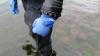 Otter dry suit