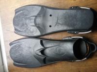 Hollis fins